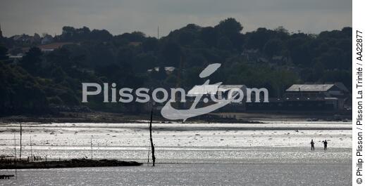 In the Bay of Paimpol. - © Philip Plisson / Plisson La Trinité / AA22877 - Photo Galleries - From Paimpol to Sept-Iles