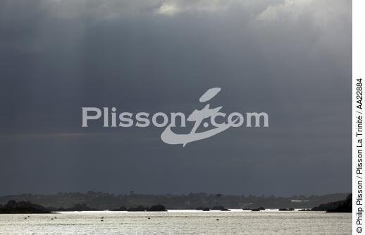 Dans La Baie de Paimpol. - © Philip Plisson / Plisson La Trinité / AA22884 - Nos reportages photos - Site [22]