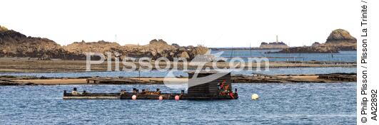In the Bay of Paimpol. - © Philip Plisson / Plisson La Trinité / AA22892 - Photo Galleries - Oyster bed