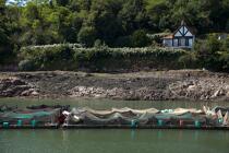 On the Jaudy river. © Philip Plisson / Plisson La Trinité / AA23550 - Photo Galleries - From Paimpol to Sept-Iles