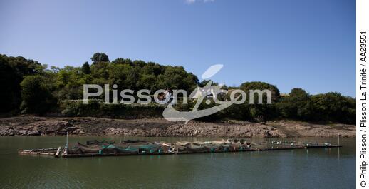 Sur la rivière du Jaudy. - © Philip Plisson / Plisson La Trinité / AA23551 - Nos reportages photos - Pisciculture