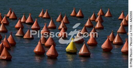 On the Jaudy river. - © Philip Plisson / Plisson La Trinité / AA23555 - Photo Galleries - From Paimpol to Sept-Iles