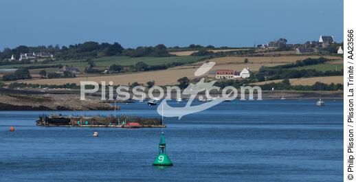 On the Jaudy river. - © Philip Plisson / Plisson La Trinité / AA23566 - Photo Galleries - From Paimpol to Sept-Iles