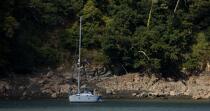On the Jaudy river. © Philip Plisson / Plisson La Trinité / AA23568 - Photo Galleries - From Paimpol to Sept-Iles