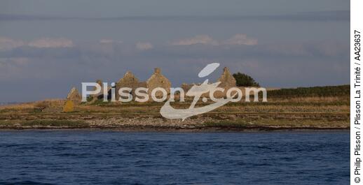 Triélen island - © Philip Plisson / Plisson La Trinité / AA23637 - Photo Galleries - Molène [Archipelagos of]