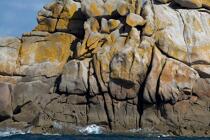 Bay of Morlaix. © Philip Plisson / Plisson La Trinité / AA24038 - Photo Galleries - Site of Interest [29]