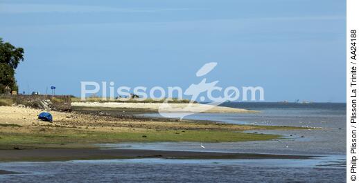Sur la rivière de Morlaix. - © Philip Plisson / Plisson La Trinité / AA24188 - Nos reportages photos - Morlaix (rivère de)