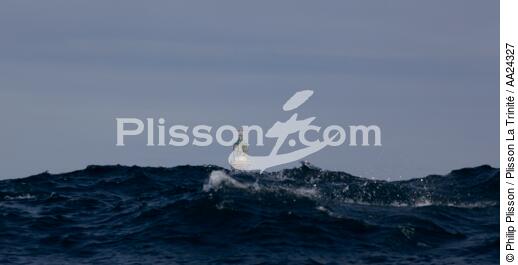 Le phare de Créac'h sur Ouessant - © Philip Plisson / Plisson La Trinité / AA24327 - Nos reportages photos - Pern [Pointe de]
