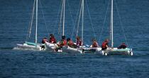 Sailing school in Aber Wrac'h. © Philip Plisson / Plisson La Trinité / AA24379 - Photo Galleries - Sports catamaran