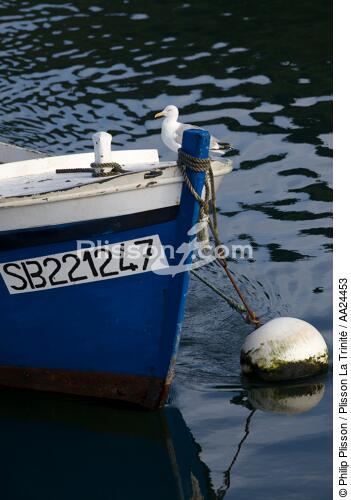 Aber Wrac'h. - © Philip Plisson / Plisson La Trinité / AA24453 - Photo Galleries - Small boat