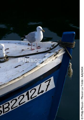 Sur l'Aber Wrac'h. - © Philip Plisson / Plisson La Trinité / AA24454 - Nos reportages photos - Barque