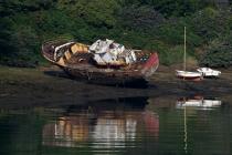Aber Wrac'h. © Philip Plisson / Plisson La Trinité / AA24458 - Photo Galleries - Boat graveyard