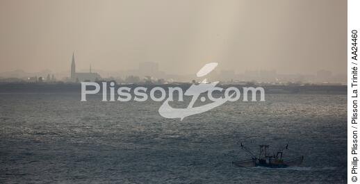 Rotterdam - © Philip Plisson / Plisson La Trinité / AA24460 - Photo Galleries - Mist