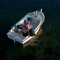 Petite pêche en baie de Morlaix © Philip Plisson / Plisson La Trinité / AA24522 - Nos reportages photos - Morlaix [Baie de]