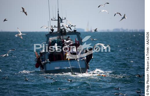 Fishing in Quiberon Bay. - © Philip Plisson / Plisson La Trinité / AA24526 - Photo Galleries - France