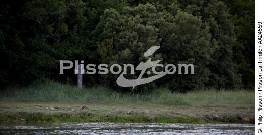 Rivière de Crac'h. - © Philip Plisson / Plisson La Trinité / AA24559 - Nos reportages photos - De Quiberon à la Vilaine