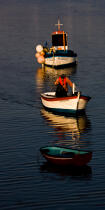 In the port of Roscoff. © Philip Plisson / Plisson La Trinité / AA24581 - Photo Galleries - Rowing boat