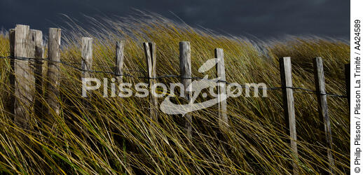 Les dunes d'Erdeven. - © Philip Plisson / Plisson La Trinité / AA24589 - Nos reportages photos - Ganivelle