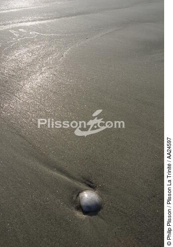 La plage d'Erdeven. - © Philip Plisson / Plisson La Trinité / AA24597 - Nos reportages photos - Erdeven