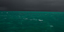 Mer d'iroise © Philip Plisson / Plisson La Trinité / AA24600 - Nos reportages photos - Mer d'Iroise