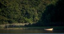 On the banks of Aulne river. © Philip Plisson / Plisson La Trinité / AA24691 - Photo Galleries - Rowing boat