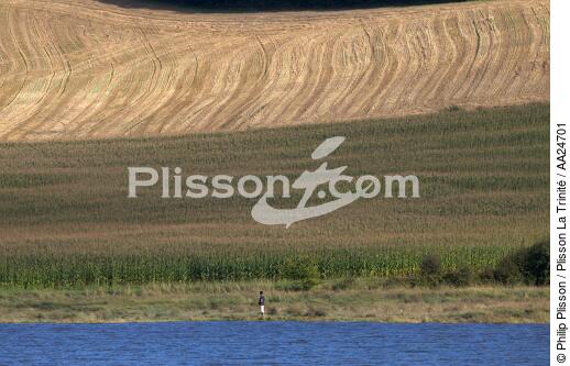Sur les bords de l'Aulne. - © Philip Plisson / Plisson La Trinité / AA24701 - Nos reportages photos - Champ