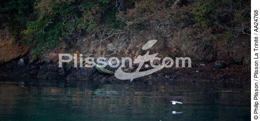Sur le Belon. - © Philip Plisson / Plisson La Trinité / AA24768 - Nos reportages photos - Oiseau de marais