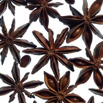 Star anise © Philip Plisson / Plisson La Trinité / AA24838 - Photo Galleries - Gourmet food