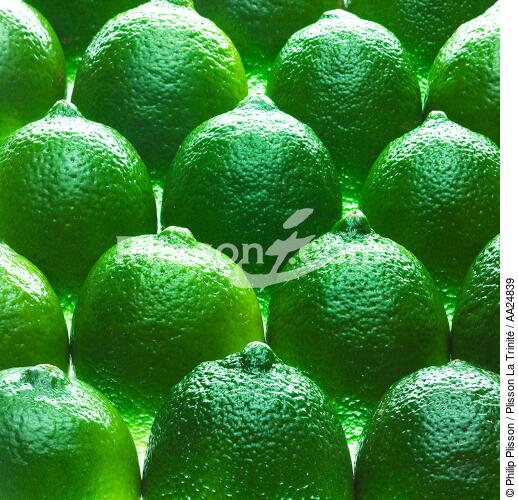 Limes. - © Philip Plisson / Plisson La Trinité / AA24839 - Photo Galleries - Green lemon