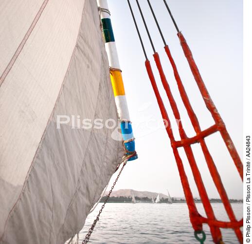 Felouque - © Philip Plisson / Plisson La Trinité / AA24843 - Nos reportages photos - Déco Marine
