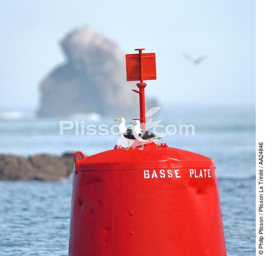 Bouée bâbord - © Philip Plisson / Plisson La Trinité / AA24846 - Nos reportages photos - Déco Marine