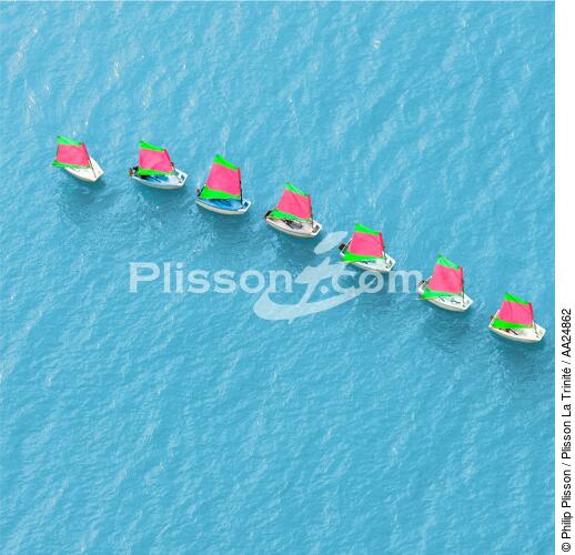 Sailing School - © Philip Plisson / Plisson La Trinité / AA24862 - Photo Galleries - Sea decoration