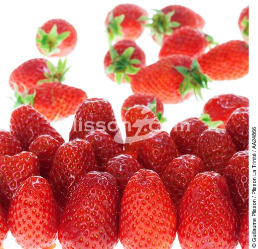 Strawberries. - © Guillaume Plisson / Plisson La Trinité / AA24866 - Photo Galleries - Square format