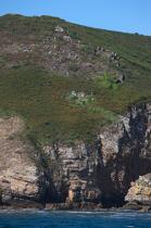 Le Cap de la Chèvre sur la presqu'île de Crozon. © Philip Plisson / Plisson La Trinité / AA24899 - Nos reportages photos - Site [29]
