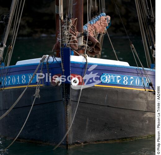 Port-Rhu in Douarnenez. - © Philip Plisson / Plisson La Trinité / AA24986 - Photo Galleries - Elements of boat