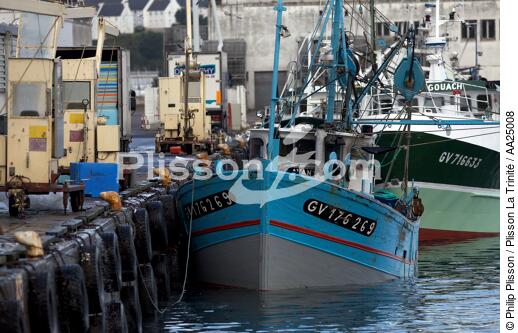 Fishing vessel in the port of Douarnenez - © Philip Plisson / Plisson La Trinité / AA25008 - Photo Galleries - Douarnenez