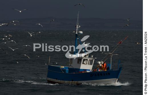 Fishing vessel at Douarnenez. - © Philip Plisson / Plisson La Trinité / AA25024 - Photo Galleries - Douarnenez