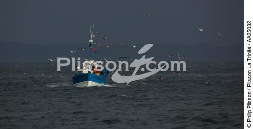 Fishing vessel at Douarnenez. - © Philip Plisson / Plisson La Trinité / AA25032 - Photo Galleries - Douarnenez