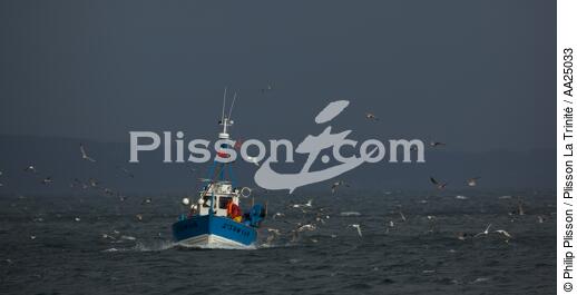 Bateau de pêche devant Douarnenez - © Philip Plisson / Plisson La Trinité / AA25033 - Nos reportages photos - Douarnenez