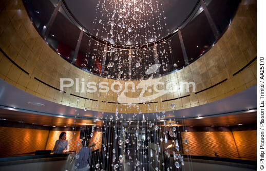 Le Boréal - © Philip Plisson / Plisson La Trinité / AA25170 - Nos reportages photos - La Grande Croisière