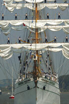 L'Armada de Rouen 2003 © Philip Plisson / Plisson La Trinité / AA25351 - Nos reportages photos - Les grands voiliers