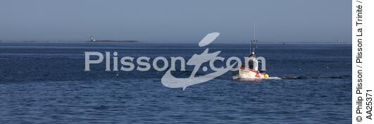 Bateau de pêche de retour des Glénan - © Philip Plisson / Plisson La Trinité / AA25371 - Nos reportages photos - Moutons [les]