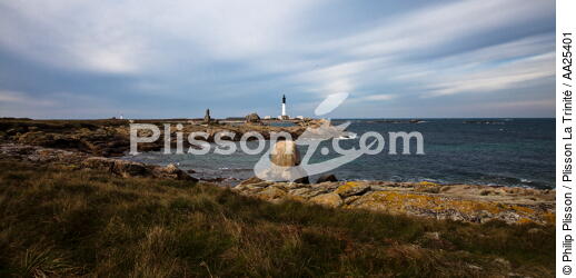 Sein island. - © Philip Plisson / Plisson La Trinité / AA25401 - Photo Galleries - Rock