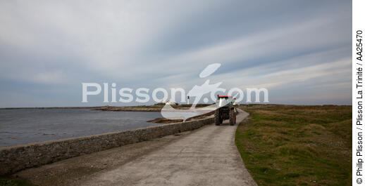 Island of Sein. - © Philip Plisson / Plisson La Trinité / AA25470 - Photo Galleries - Sein [The Island of]