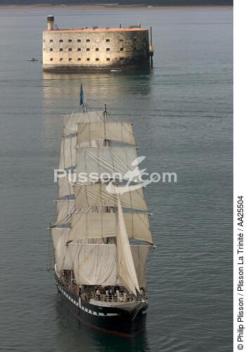 Fort-Boyard et le Belem - © Philip Plisson / Plisson La Trinité / AA25504 - Nos reportages photos - Les grands voiliers