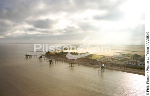 Anse de l'Aiguillon - © Philip Plisson / Plisson La Trinité / AA25519 - Nos reportages photos - Cabane
