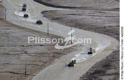 Le chenal d'Ors - © Philip Plisson / Plisson La Trinité / AA25558 - Nos reportages photos - Marée basse