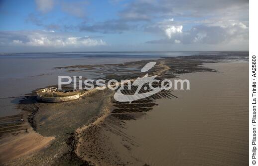Fort Enet - © Philip Plisson / Plisson La Trinité / AA25600 - Nos reportages photos - Marée basse