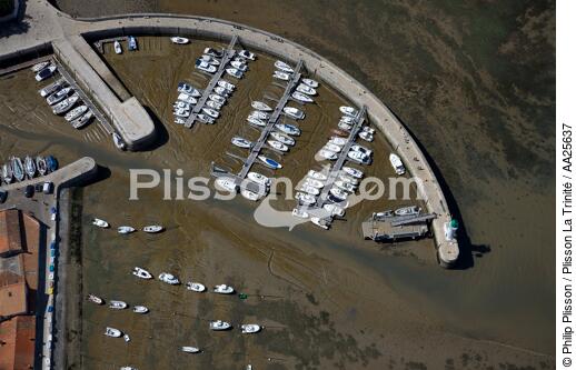La Flotte en Ré. - © Philip Plisson / Plisson La Trinité / AA25637 - Nos reportages photos - Marée basse