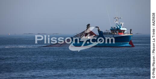 Pêche à la sardine en baie de Concarneau - © Philip Plisson / Plisson La Trinité / AA25638 - Nos reportages photos - La pêche à la sardine